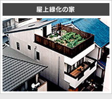 屋上緑化の家